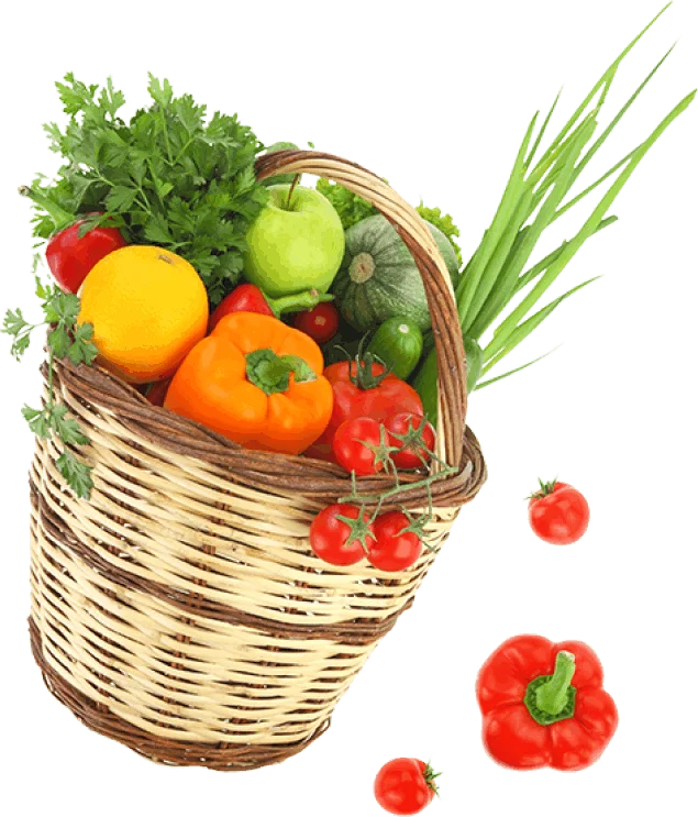 Fresh Organic Vegetables